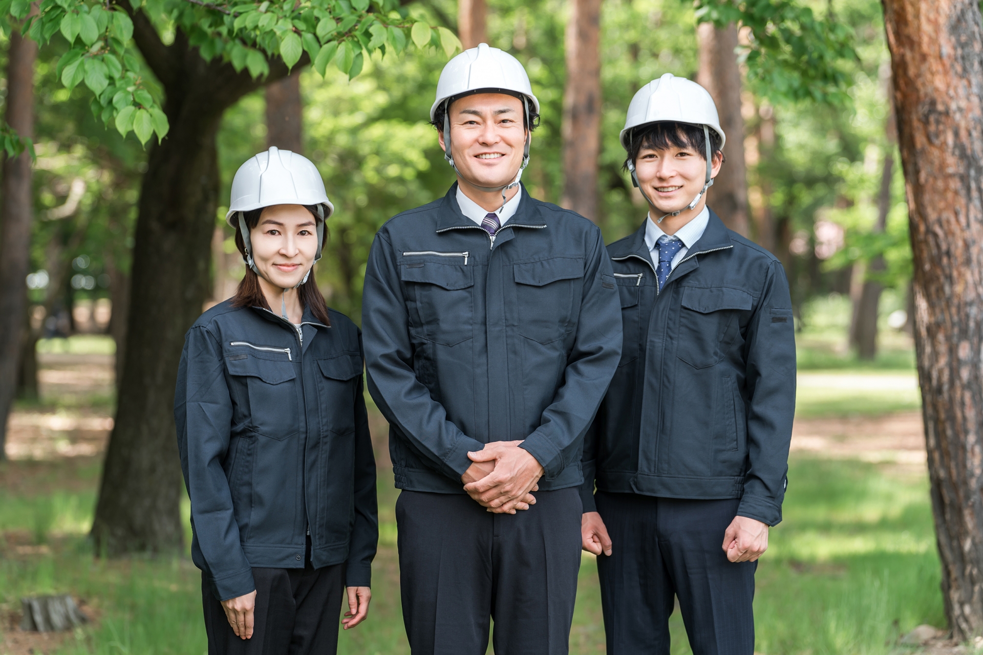 危険な高木の伐採作業